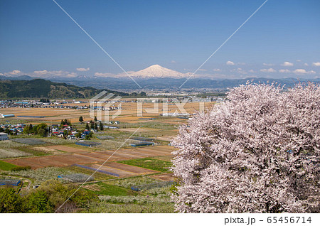 桜と鳥海山 65456714