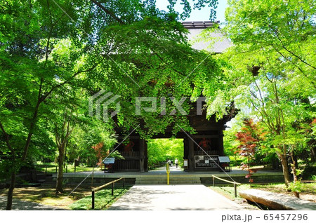 世田谷区 九品仏浄真寺の山門（仁王門）と新緑の写真素材 [65457296] - PIXTA