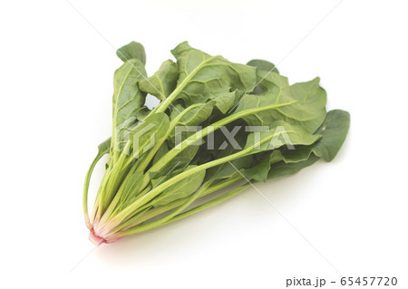 ほうれん草 65457720