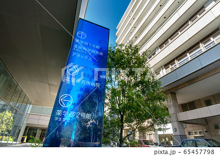 北里大学北里研究所病院 65457798