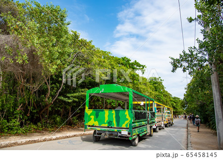 メキシコ トゥルムの遺跡への道 移動用のバス メキシコ トゥルムの遺跡への道 移動用のバス 65458145