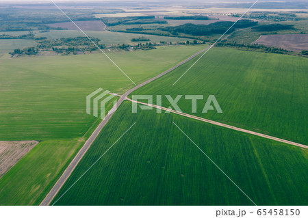 Beautiful agricultural field from a height of flight 65458150