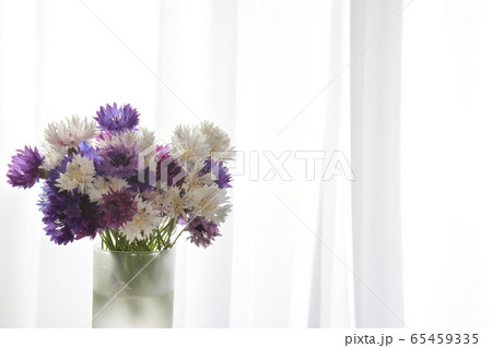 花束 カーテン 花束 カーテン 65459335