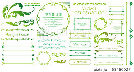 Floral Design Botanical Borders Leaves Stock Illustration