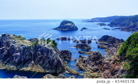 海金剛 海金剛 65460578