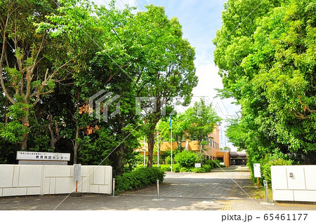 神奈川県藤沢市 神奈川県立総合教育センター正門と新緑 神奈川県藤沢市 神奈川県立総合教育センター正門と新緑 65461177
