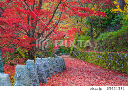 吉野 高城山展望台 吉野 高城山展望台 65461581