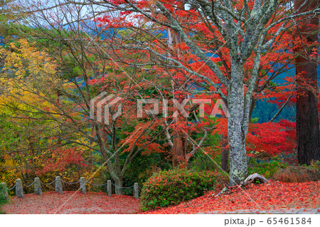 吉野　高城山展望台 65461584