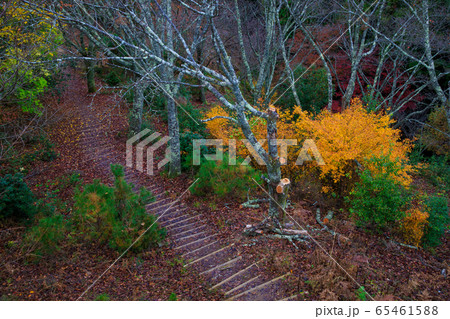 吉野 高城山展望台 吉野 高城山展望台 65461588