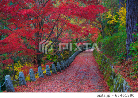 吉野　高城山展望台 65461590