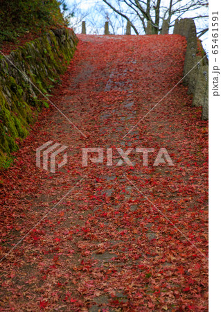 吉野 高城山展望台 吉野 高城山展望台 65461591