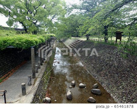 公園 65461878