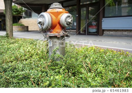fire hydrant in Ljubljana fire hydrant in Ljubljana 65461983