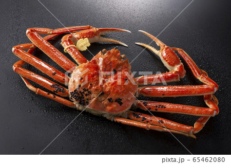 越前がに 越前がに 65462080