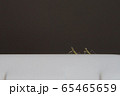カマキリBROTHERS 65465659