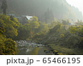 朝靄と緑豊かな川景色１ 65466195