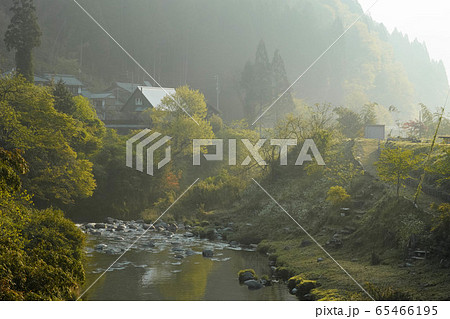 朝靄と緑豊かな川景色１ 65466195
