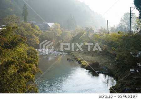 朝靄と緑豊かな川景色２ 65466197