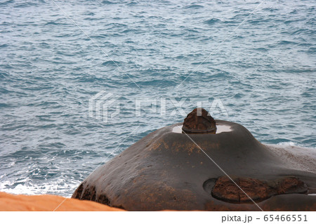 海 大洋 海原 65466551