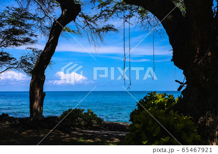 （ハワイ）青い海 65467921