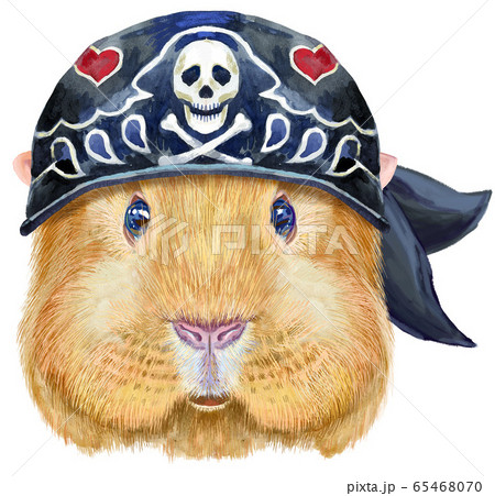 Watercolor portrait of Self guinea pig with Watercolor portrait of Self guinea pig with 65468070