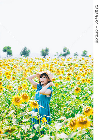 ひまわり畑と女性 65468081