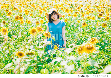 ひまわり畑と女性 65468084