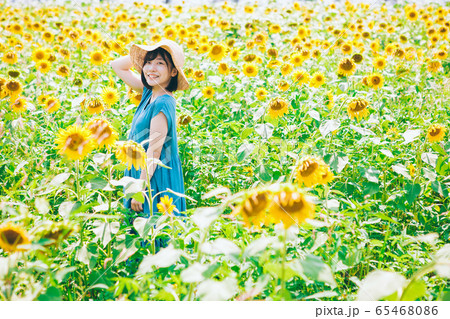 ひまわり畑と女性 65468086