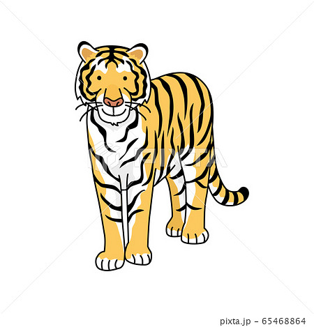 トラ トラ 65468864