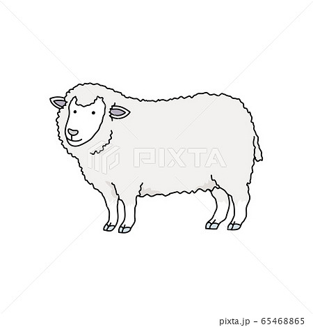 ヒツジ 65468865