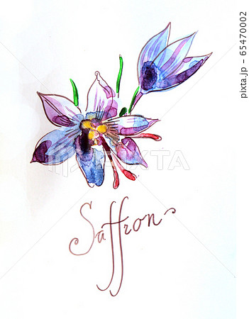 Watercolor saffron 65470002