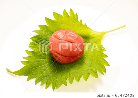 大葉(青じその葉)の上に置かれた梅干し。(白皿･白バック) 65472408