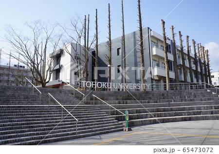東北大学 東北大学 65473072