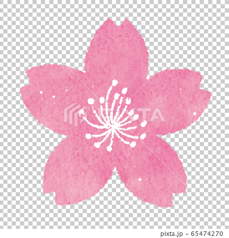 桜 スタンプ ハンコ ベクターのイラスト素材