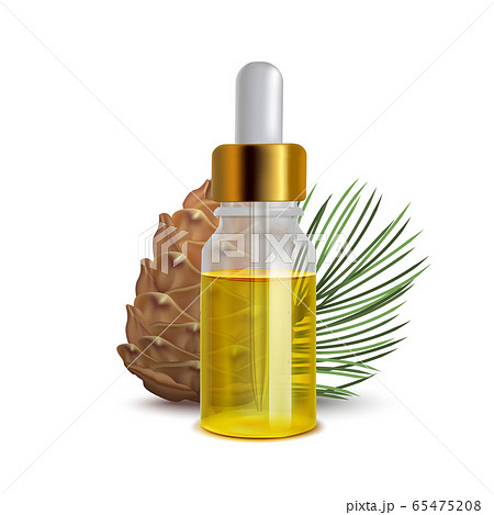 Siberian Pine Oil Bottle with Cone and Branch in Realistic Style 65475208