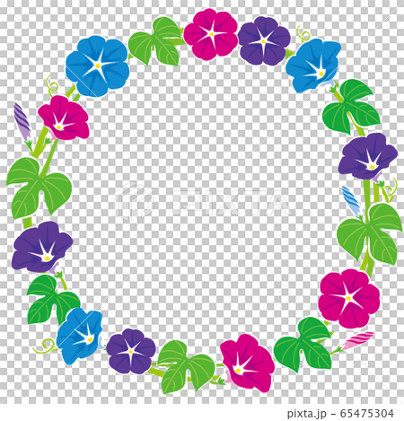 夏天框架/牽牛花的插圖 夏天框架/牽牛花的插圖 65475304