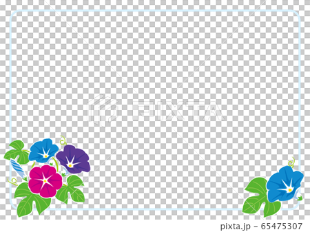 夏天框架/牽牛花的插圖 夏天框架/牽牛花的插圖 65475307