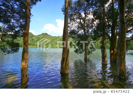3 Aug 2008 the Hong Kong Shing Mun Country Park. 65475422