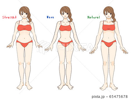 骨格診断３タイプ正面のイラスト素材