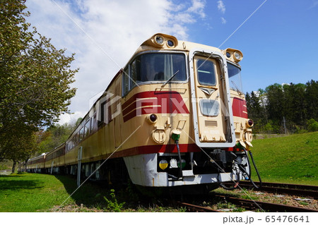 2020年春のクロフォード公園・キハ80系気動車 65476641