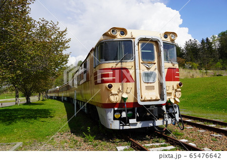 2020年春のクロフォード公園・キハ80系気動車 65476642