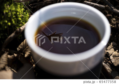 ド 青肝 君風花 65477358