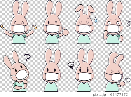 Rabbit color with a mask 65477572