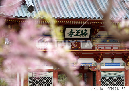 勝尾寺　山桜 65478175