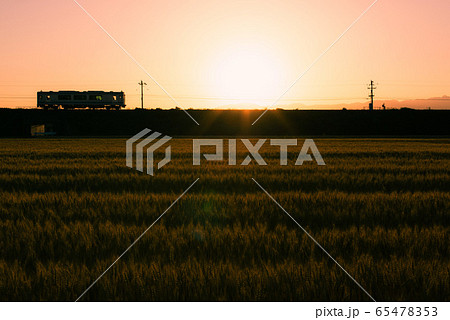 夕暮れの麦畑と鉄道 夕暮れの麦畑と鉄道 65478353