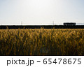 夕暮れの麦畑と鉄道 65478675