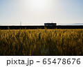 夕暮れの麦畑と鉄道 65478676