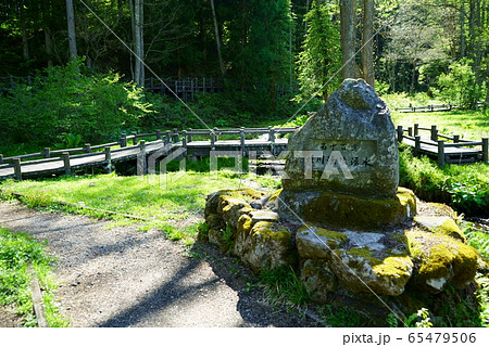 長野県白馬村 姫川源流 自然探勝園 長野県白馬村 姫川源流 自然探勝園 65479506
