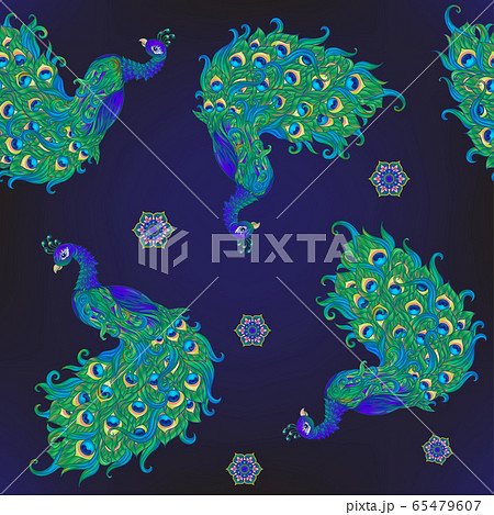 Peacock bird seamless pattern, background. 65479607
