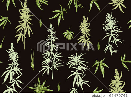 Hemp Cannabis Seamless Pattern Background のイラスト素材